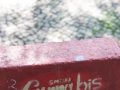 allemagne (germany), berlin, penzauer berg, rue,graffitis subversif, detournement de coca cola pour smoke canabis,